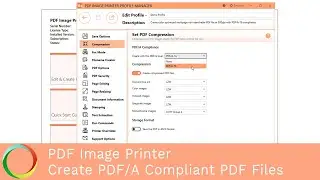 Create PDF/A Compliant PDF Files | PDF Image Printer 12 | PEERNET