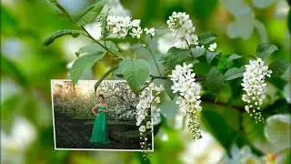 стиль для ProShow Producer 7 