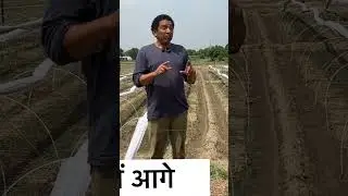 gobhi ki ageti kheti