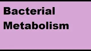 Bacterial metabolism