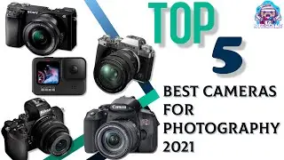 5 Best Cameras to Buy on Amazon in 2021 | 9to5Game