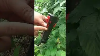 как завести триммер  #полезныесоветы #бензокоса