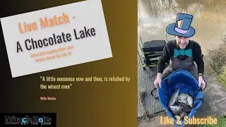 Live Match Fishing - A Chocolate Lake! #matchfishing #coarsefishing