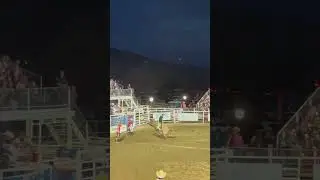 Bull riding part 2
