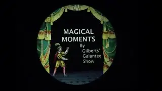 The Magic Lantern Society International Convention 2013.