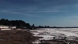 Windy raccoon