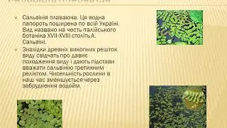 Рослини занесені до червоної та зеленої книги України