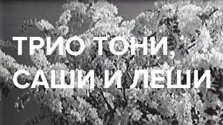 Трио Тони, Саши и Леши | Белая акация | 1957