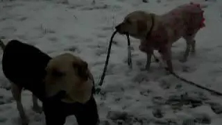 darekakita.AVI