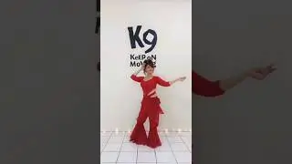 Darbuka Belly Dance 