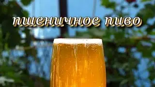 Alcofan's Wheat Beer Recipe. Home Brewing