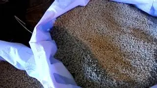 Комбикорм. Бройлеры. 100% технология. Feed. The broilers. 100% technology.