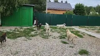 Гроссер Рада  в гостях.