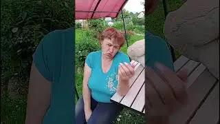 Про ЖИВОТ.