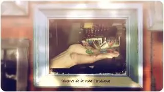 Intro del canal