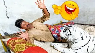 sleeping man 😁 And Fack Tiger Prank😂 New funny video with man And tiger funny video 😂  || New 2023