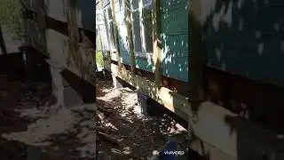 подъем двух этажного каркасного дома, замена обвязки капитальный ремонт фундамента.