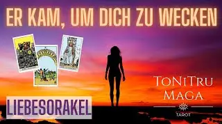 He came to wake you up – study partner or love? 💫 Love oracle with a profound message