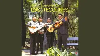 Cariño