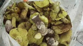 Холодная осень,дождь и теплые эмоции
