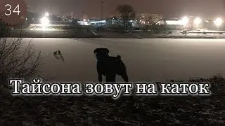 Тайсона зовут на каток