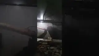 7 февраля 2024 г.