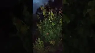 Дача,разговоры по душам!!!