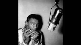 Muddy Waters - Baby Please Don't Go