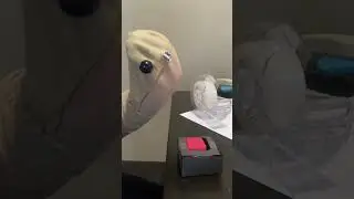 Sock fella goes interdimensional || #sock #sockfella #button #artstyles #animation #fypシ #fyp #funny