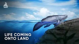 How did Life Come onto Land?