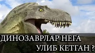 ДИНОЗАВРЛАР ХАКИДА...