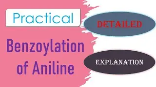 Benzoylation of Aniline || Dr. Bharat Baria