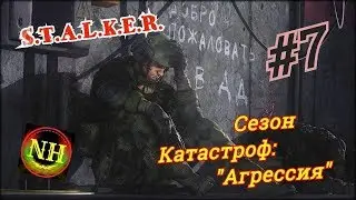 Сталкер Сезон катастроф: 