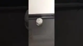 1000° iron ball ? vs Ice #shorts #asmr