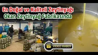 Doğal Zeytinyağı Okan Zeytinyağ Fabrikasında
