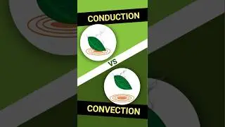 Conduction VS Convection Vaporizers - What's the Difference ?🤯