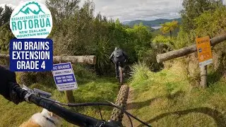 More Bang For Your Buck | and No Brains Extension, Rotorua