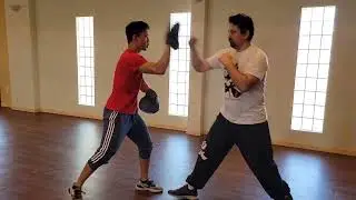 Wing Chun Pad work