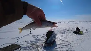 Хороший день для рыбалки / Рыбалка на зубаря