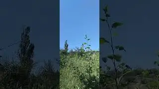ох если бы увидел...