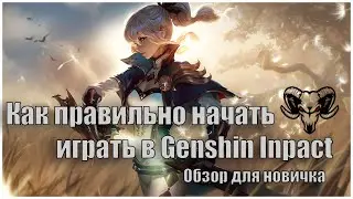 Как правильно начать играть в Genshin Impact | Обзор для новичка