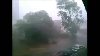 Пермь 24 06 15 Крохаля