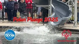 Polar Plunge