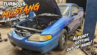 The Budget Turbo Mustang Build Is ALREADY GETTING OUT OF CONTROL! Budget Street Car Build