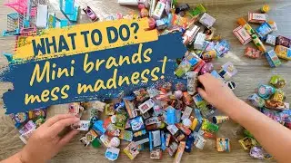 What to Do?! Mini Brands Mess Madness!