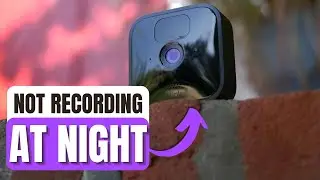 Blink Camera Not Recording At Night - How To Fix