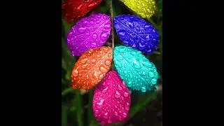 Tutorial Cara Buat Warna Warni Daun