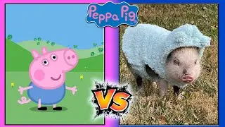 🐷 Peppa Pig: Family and Friends IN REAL LIFE 👉
