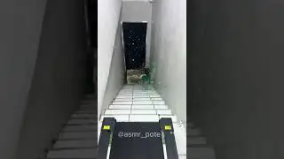 bottle on stairs (bottle falling down the stairs)