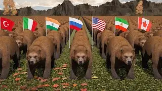 Brown Bear population by Country 2024
